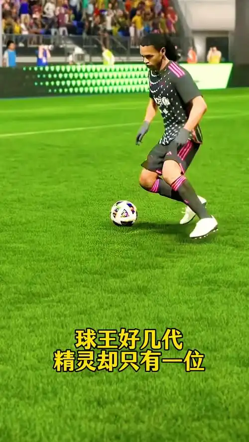 给了他无与